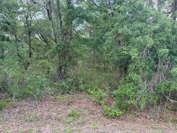 21902 NE 69th Place, MELROSE, FL 32666