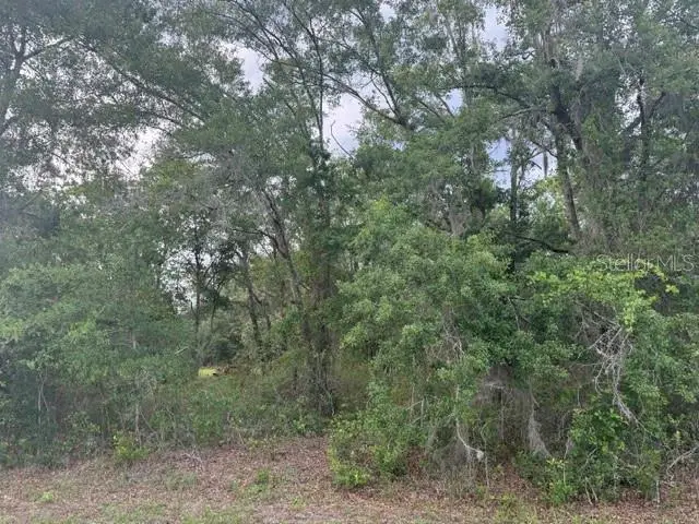 21902 NE 69th Place, Melrose, FL 32666 - #2