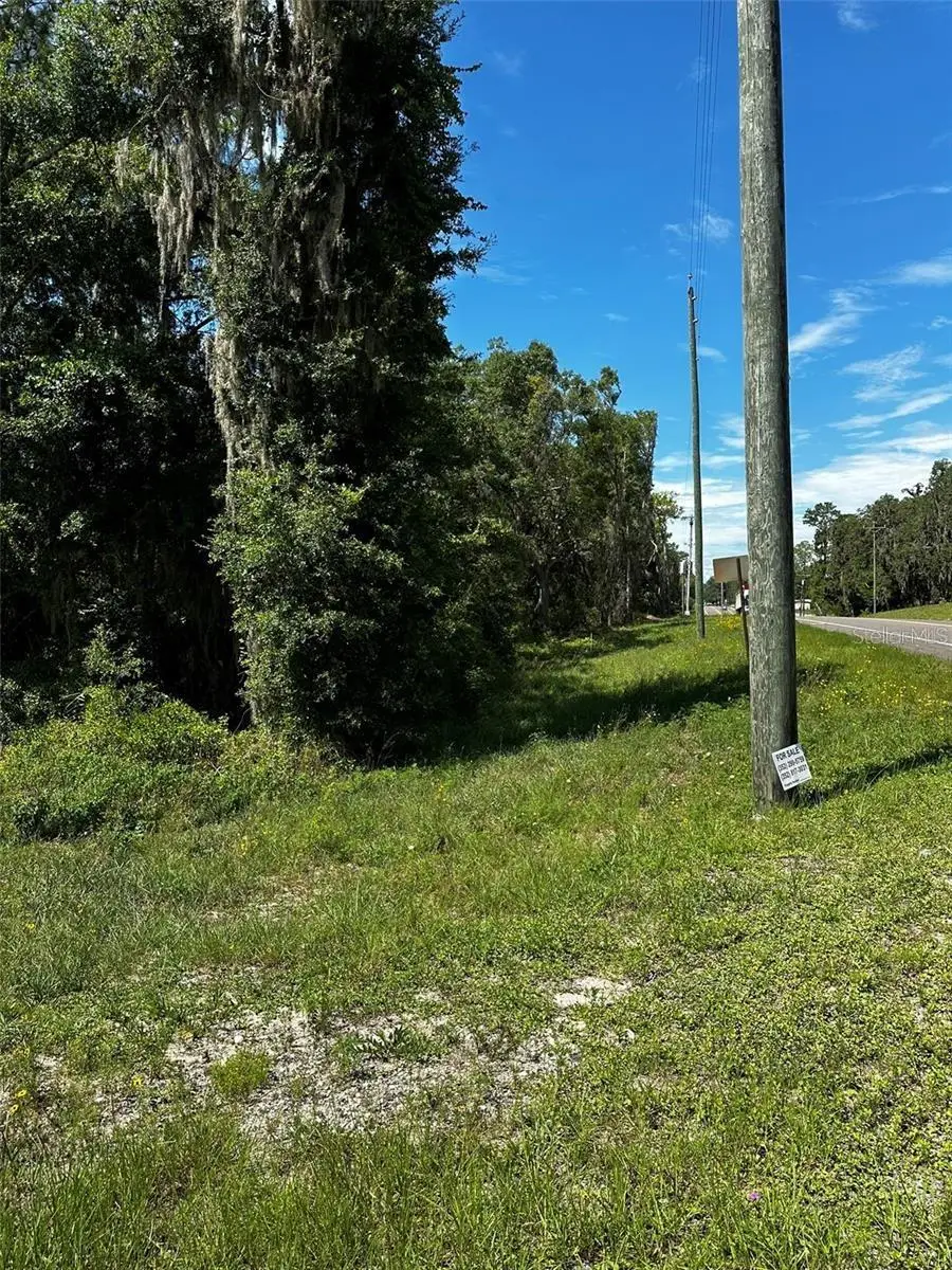 xx Thrasher Dr, Bronson, FL 32621 - #1