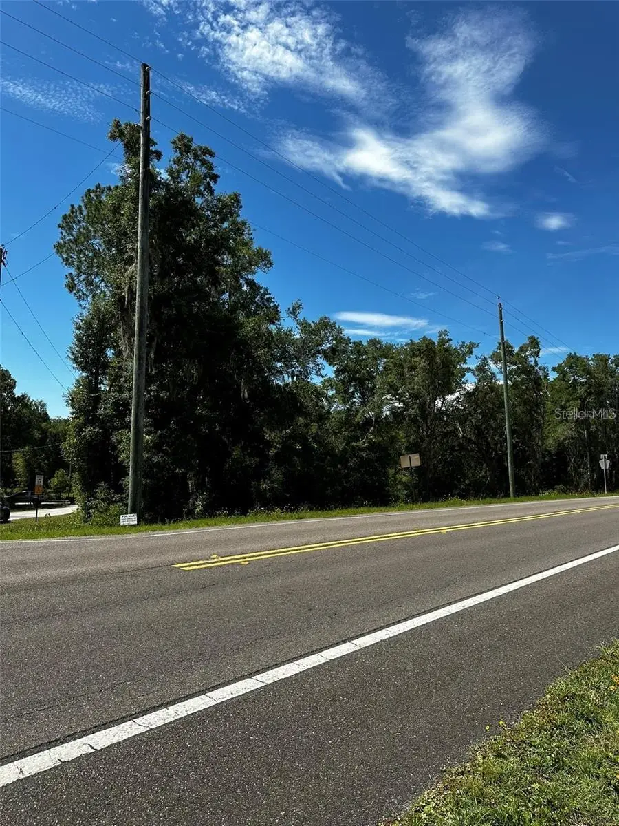 xx Thrasher Dr, Bronson, FL 32621 - #2