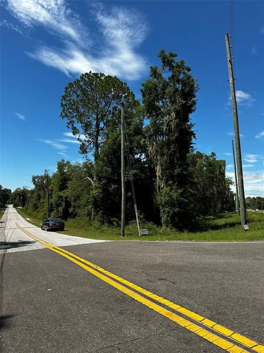 xx Thrasher Dr, Bronson, FL 32621 - #3