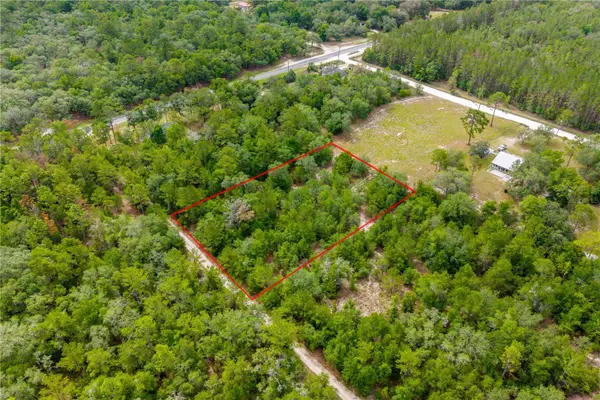 7930 NE 121st Street, BRONSON, FL 32621