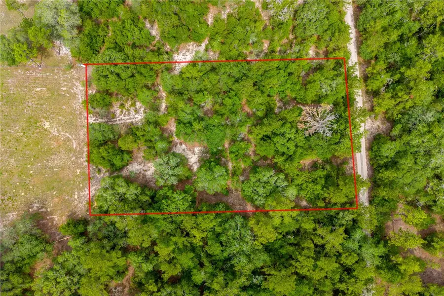 7930 NE 121st Street, Bronson, FL 32621 - #2