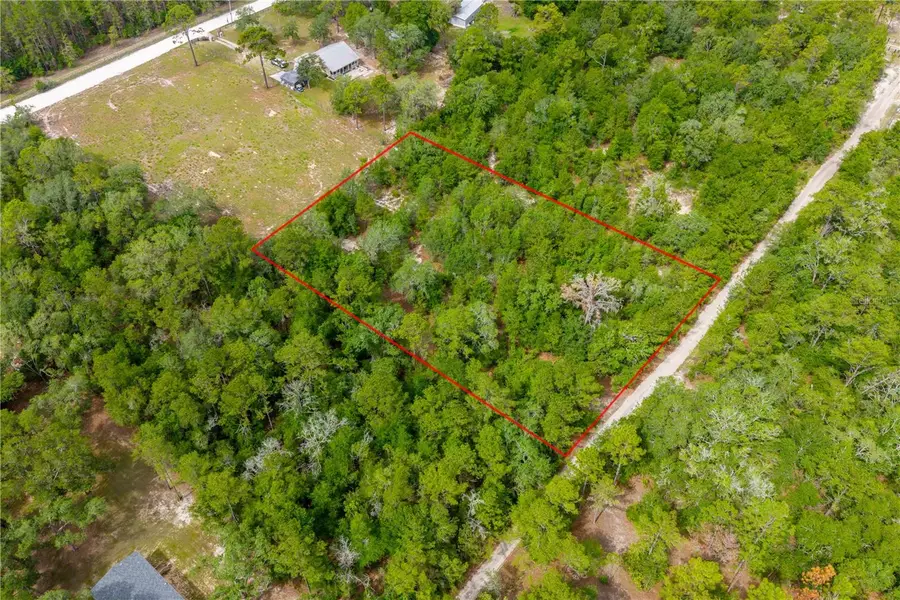 7930 NE 121st Street, Bronson, FL 32621 - #3