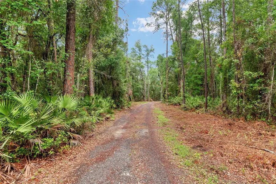 7622 SE County Road 234, Gainesville, FL 32641 - #3