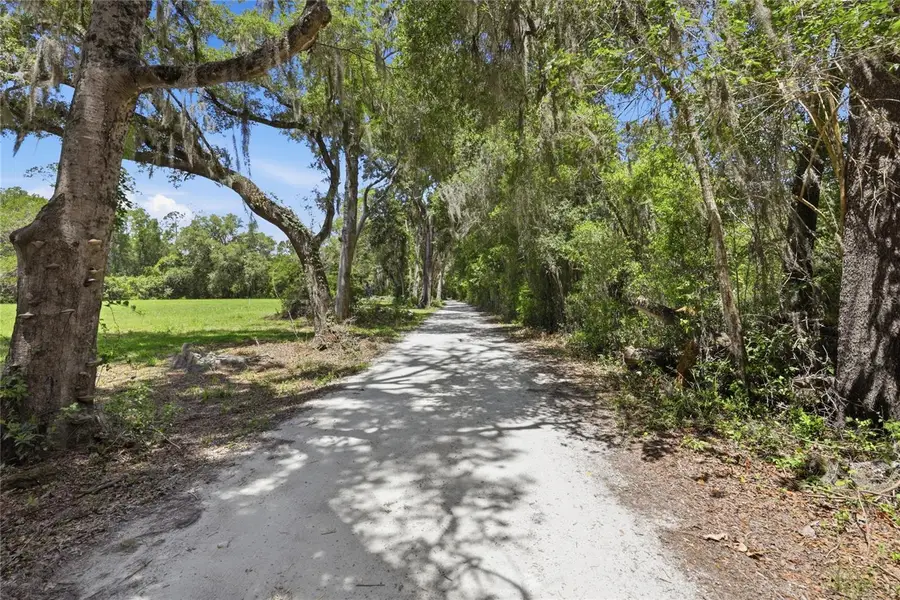 1224 NW 143rd Street, Newberry, FL 32669 - #3