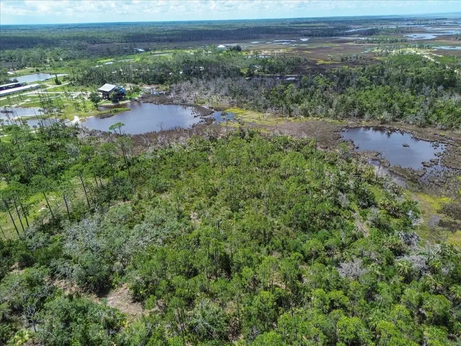 TBD SW 276 Avenue, Steinhatchee, FL 32359 - #2