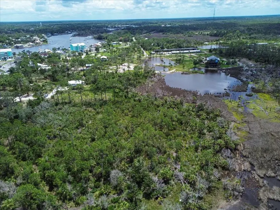 TBD SW 276 Avenue, Steinhatchee, FL 32359 - #3