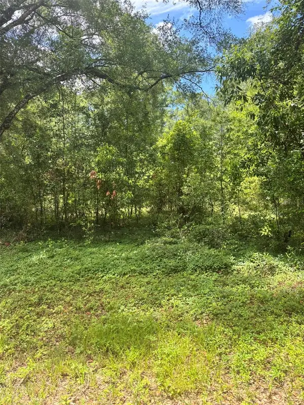 8230 NW 166th Street, FANNING SPRINGS, FL 32693
