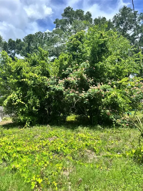 206 NE 13th Avenue, CHIEFLAND, FL 32626