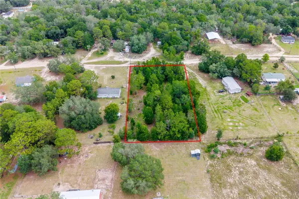 TBD NE 115 Street, BRONSON, FL 32621