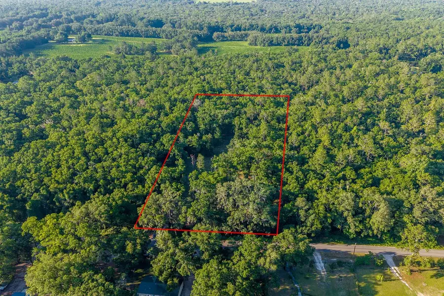 6016 SW 52nd Terrace, Lake Butler, FL 32054 - #2