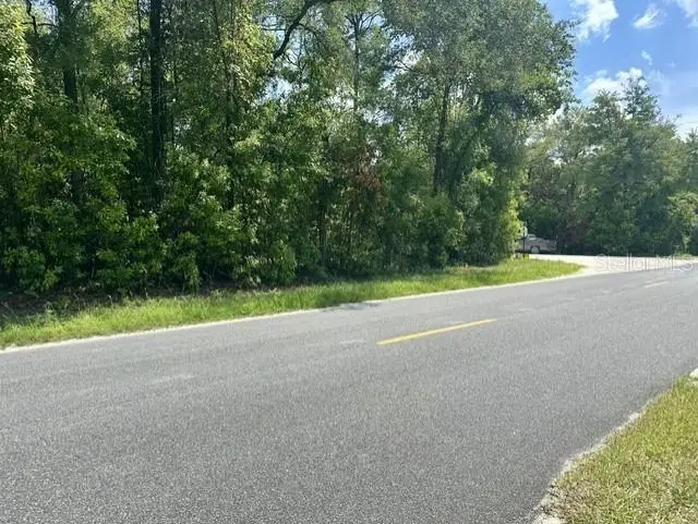 284th Street, Branford, FL 32008 - #1