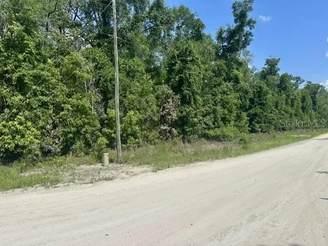 284th Street, Branford, FL 32008 - #2