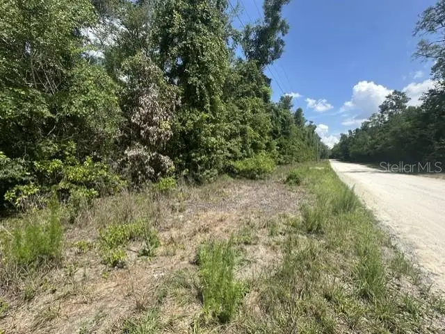284th Street, Branford, FL 32008 - #3