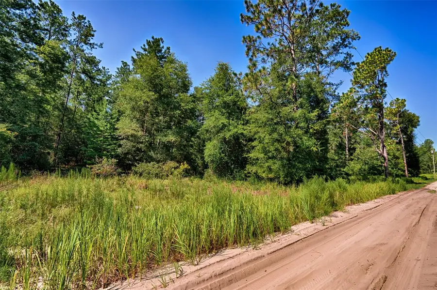 000 NE 83rd Lane, Bronson, FL 32621 - #2