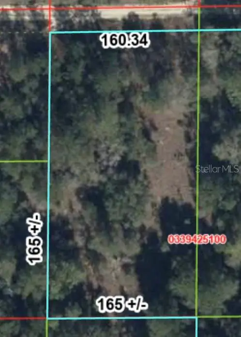 000 NE 83rd Lane, Bronson, FL 32621 - #3
