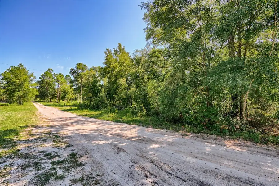 000 NE 82nd Place, Bronson, FL 32621 - #2