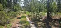 TBD NE 104th Court, Bronson, FL 32621 - #3