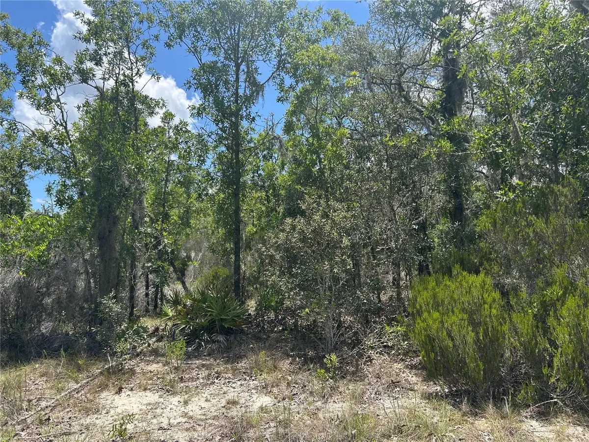 NE 101st Terrace, Archer, FL 32618 - #1