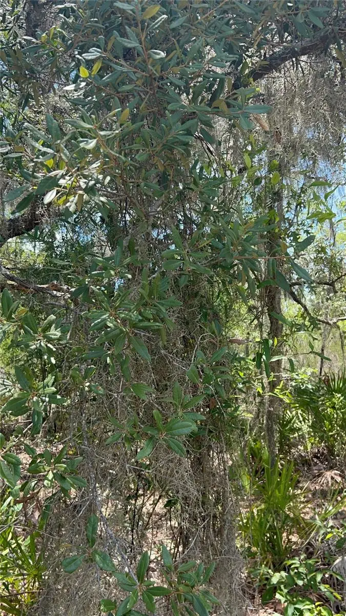 NE 101st Terrace, Archer, FL 32618 - #2