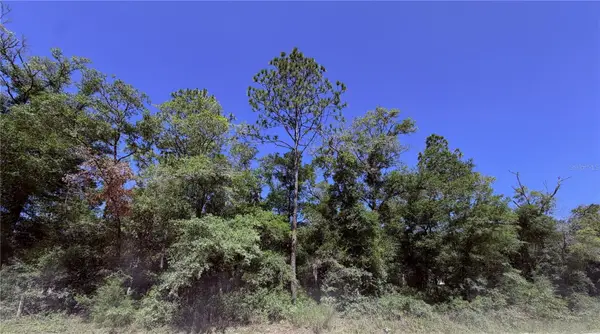0 NE 90th Avenue #LOT 14-A, BRONSON, FL 32621