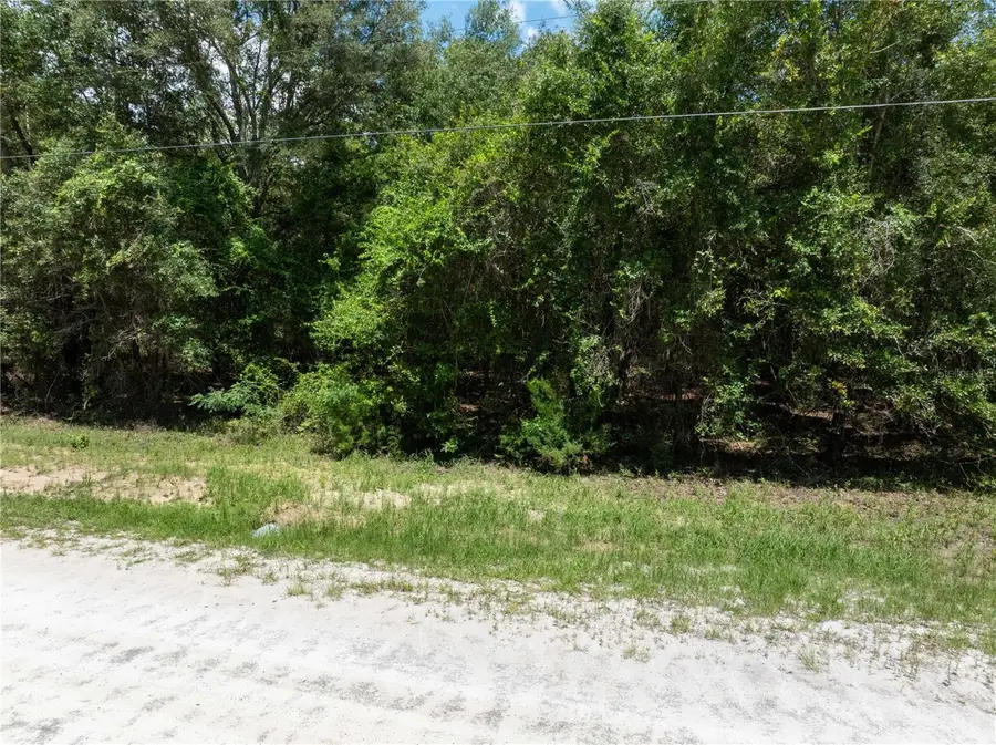 Lot 53 SW Roanoke Terrace, Fort White, FL 32038 - #3