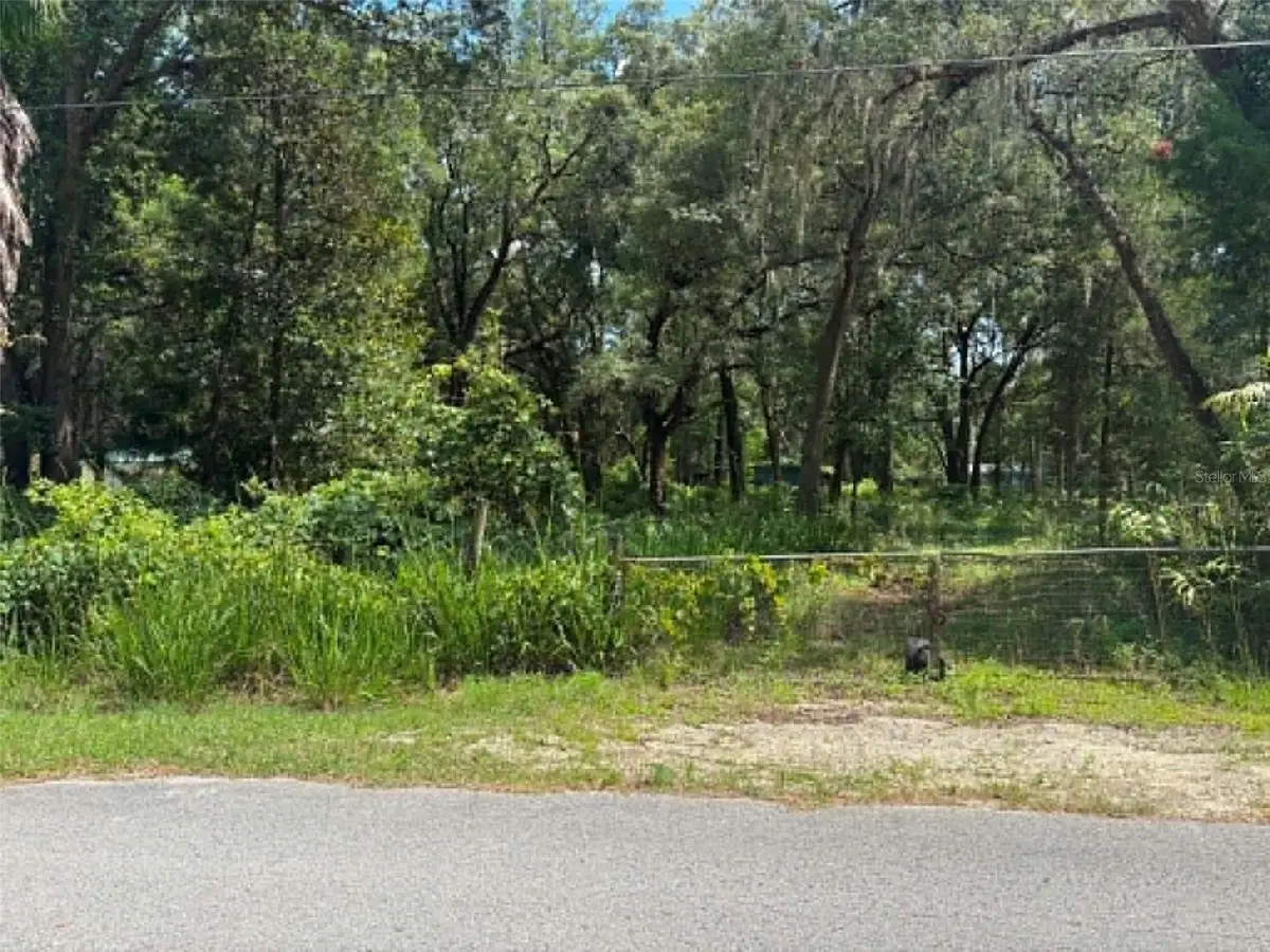 00 NW 166th Street, Trenton, FL 32693 - #1