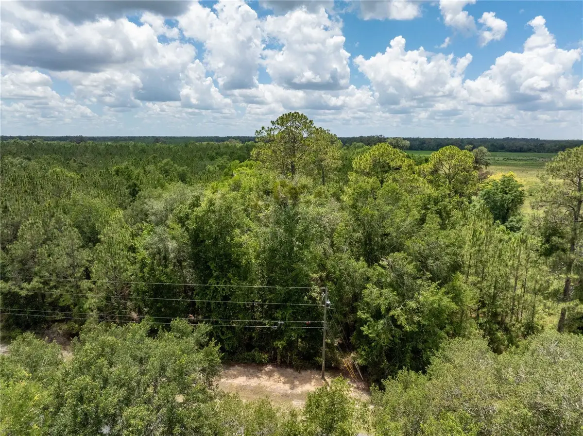 17198 SW State Road 47, Fort White, FL 32038 - #1