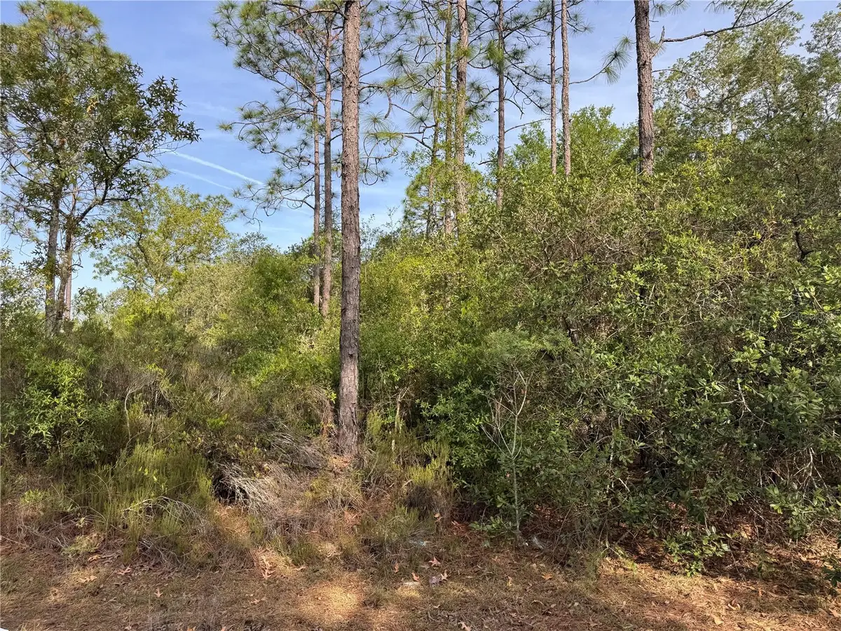 TBD NE 76th, Bronson, FL 32621 - #1