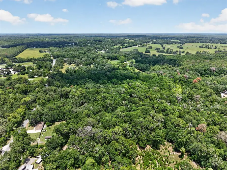 5725 NW 219th Street Road, Micanopy, FL 32667 - #2