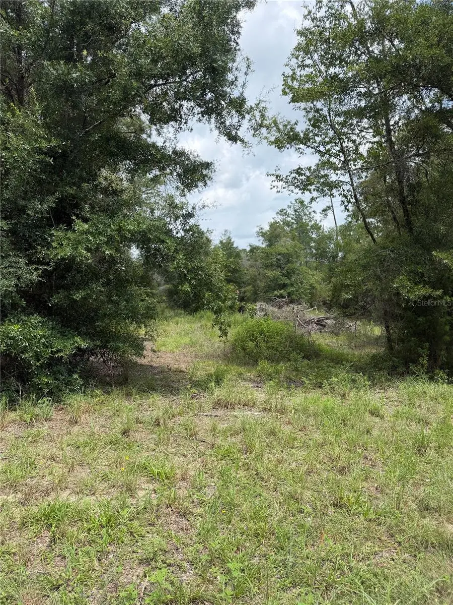 4951 NE 142nd Court, Williston, FL 32696 - #2
