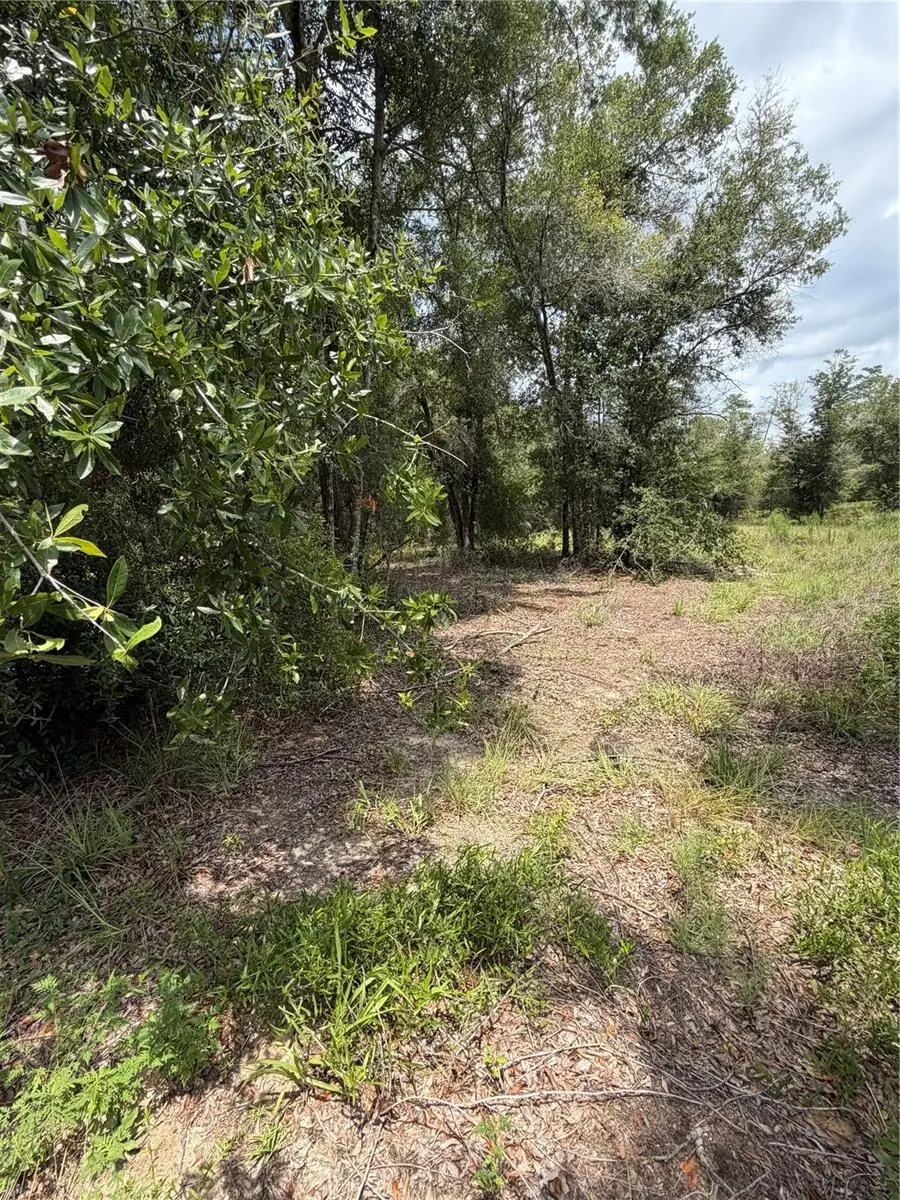 4951 NE 142nd Court, Williston, FL 32696 - #3