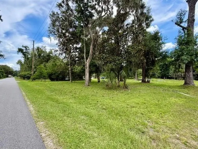 9749 Florida Street, Fanning Springs, FL 32693 - #1