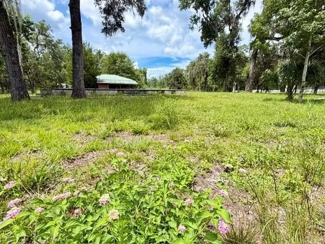 9749 Florida Street, Fanning Springs, FL 32693 - #2