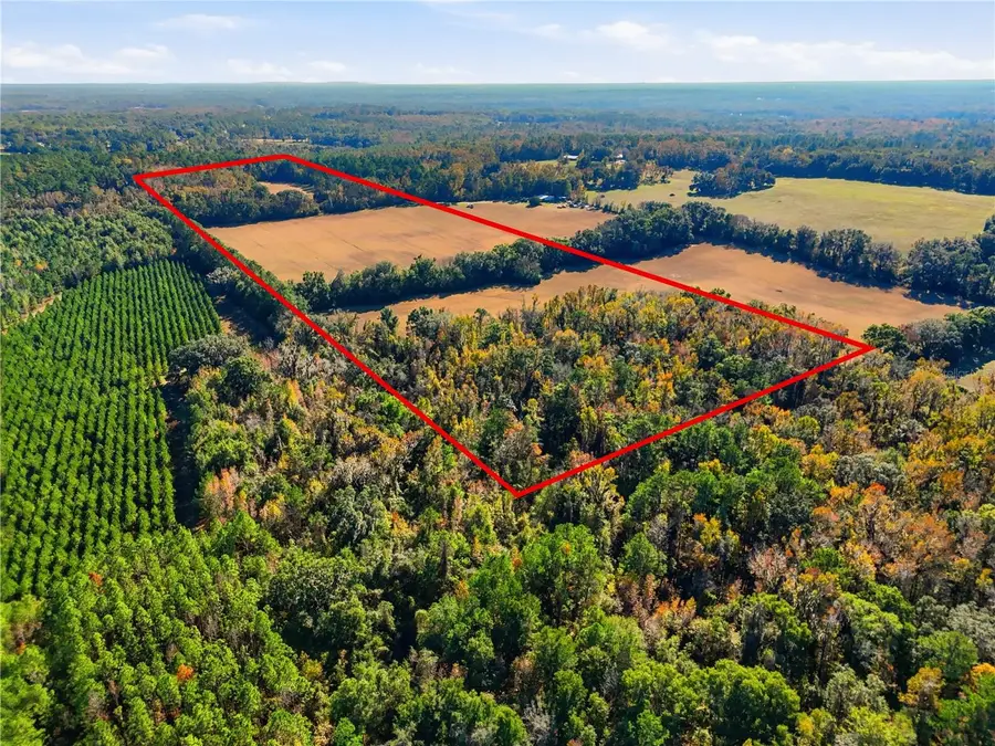 Old Bellamy Rd, High Springs, FL 32643 - #3