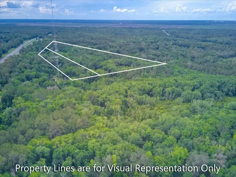 100 SE 134th Avenue, Micanopy, FL 32667 - #2