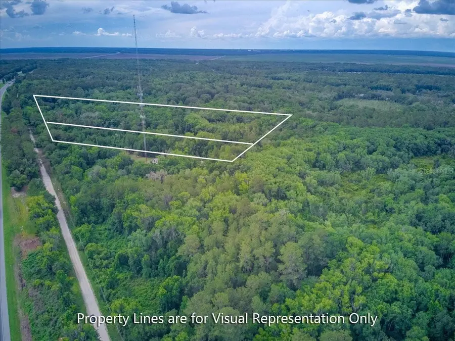 100 SE 134th Avenue, Micanopy, FL 32667 - #3