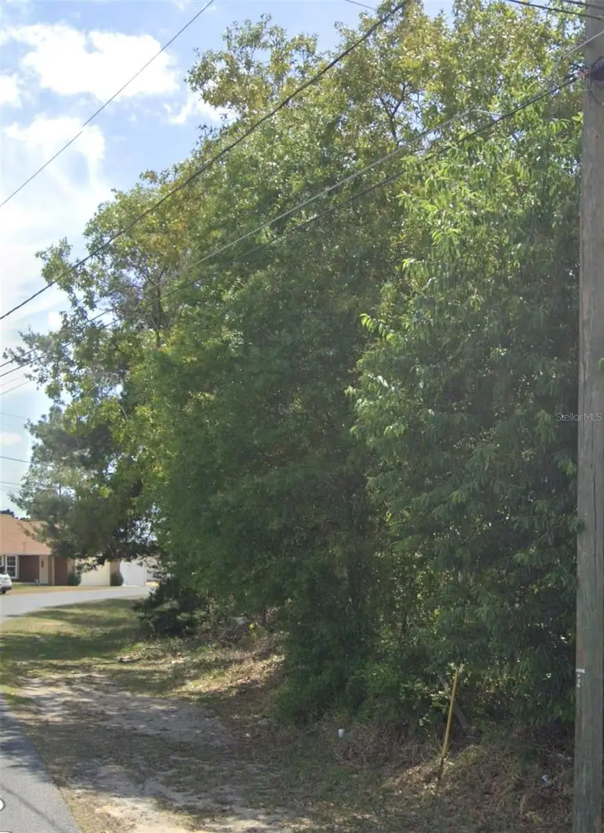 TBD Pecan Pass Drive, Ocala, FL 34471 - #3