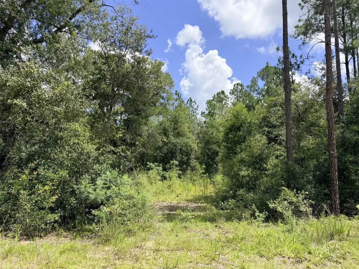 0 NE 77 Place, Bronson, FL 32621 - #1
