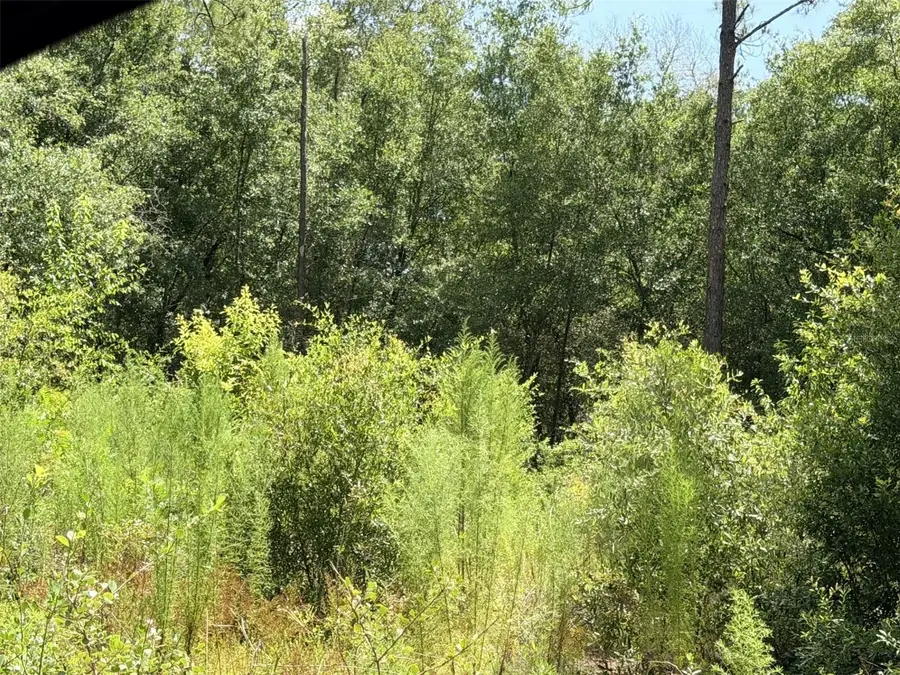 0 NE 77 Place, Bronson, FL 32621 - #2