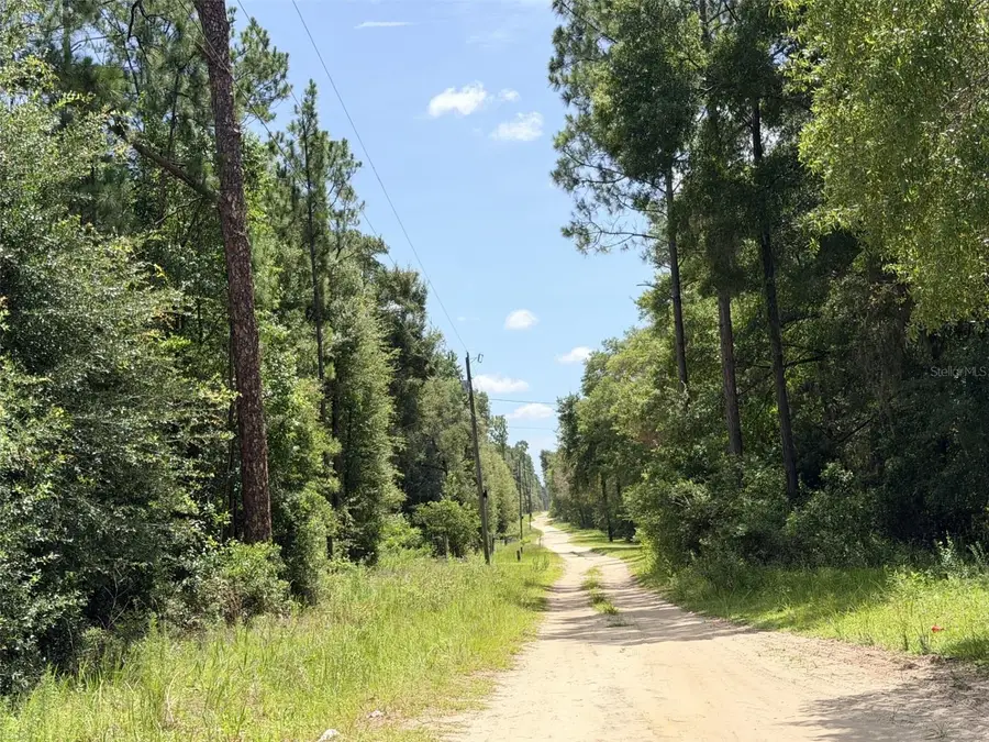 0 NE 77 Place, Bronson, FL 32621 - #3