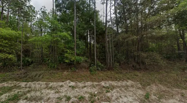 NE 821st Street, OLD TOWN, FL 32680