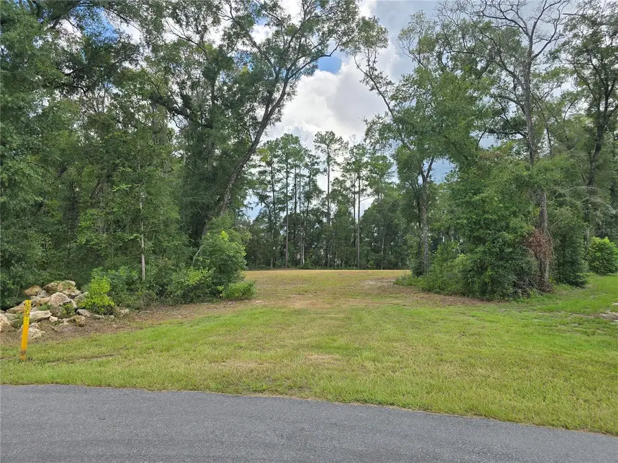 1003 SW 175th Court, Newberry, FL 32669 - #2