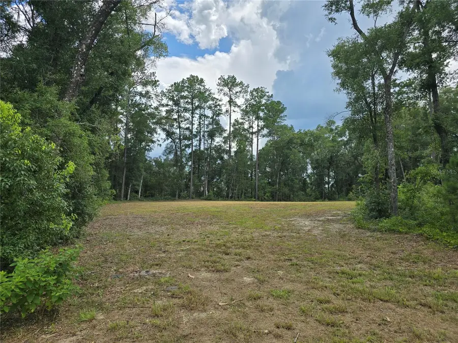 1003 SW 175th Court, Newberry, FL 32669 - #3