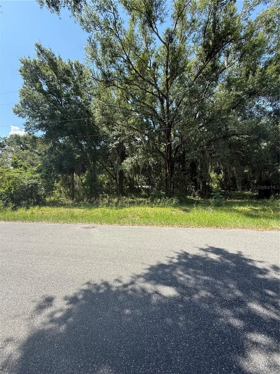 1101 E Magnolia Street, Leesburg, FL 34748 - #2