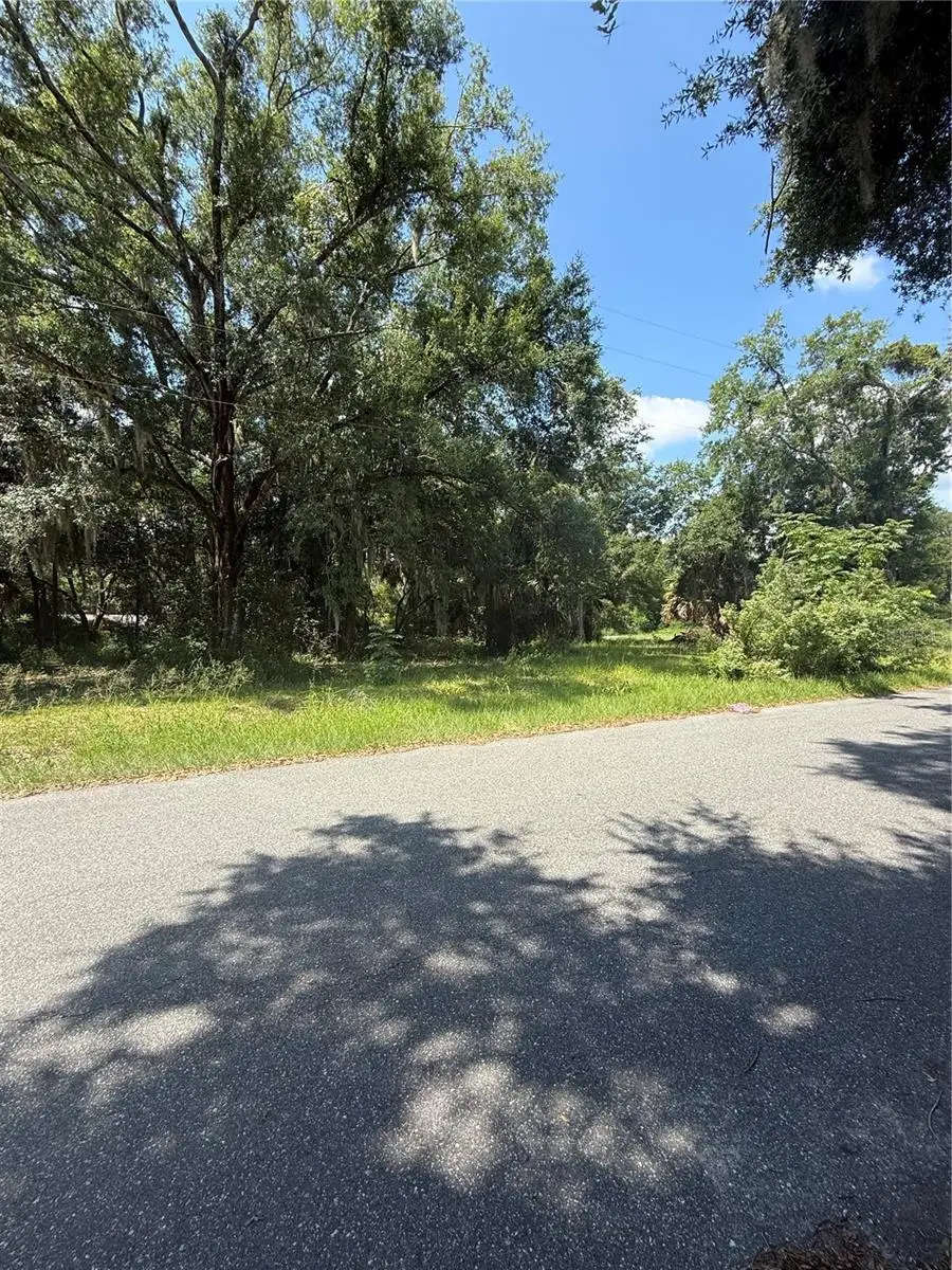 1101 E Magnolia Street, Leesburg, FL 34748 - #3