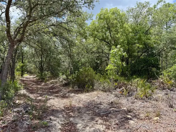 SW 200 Street, ARCHER, FL 32618