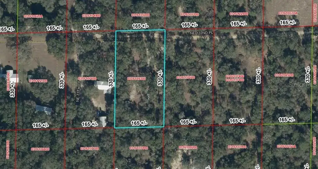 7770 NE 122nd Place, Bronson, FL 32621 - #1