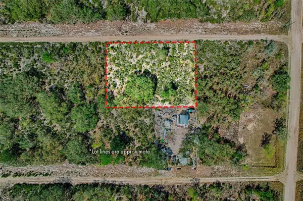 000 NE 68th Place, WILLISTON, FL 32696